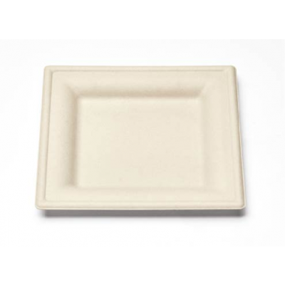 Eco-Friendly Square Plates