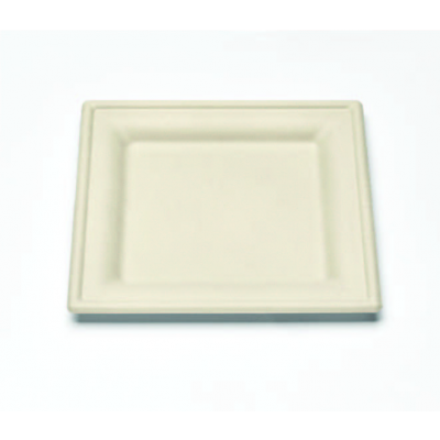 Eco-Friendly Square Plates