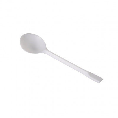 Plastic Dessert Spoon: Light-Weight